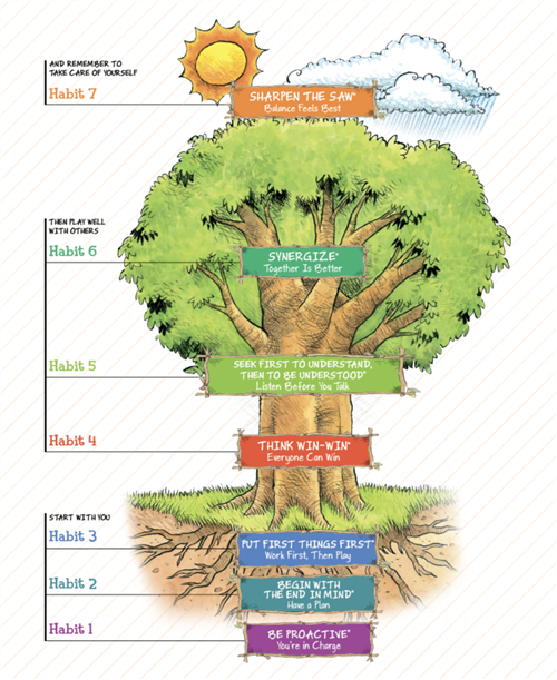 LIM TREE